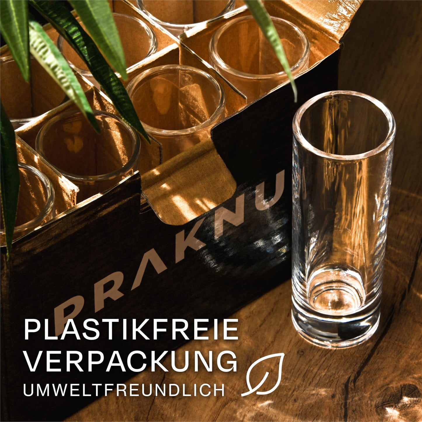 Praknu 12 Schnapsgläser Hoch aus Glas 5cl - Spülmaschinenfest - Standfest dank dickem Boden - Shotgläser für jede Party